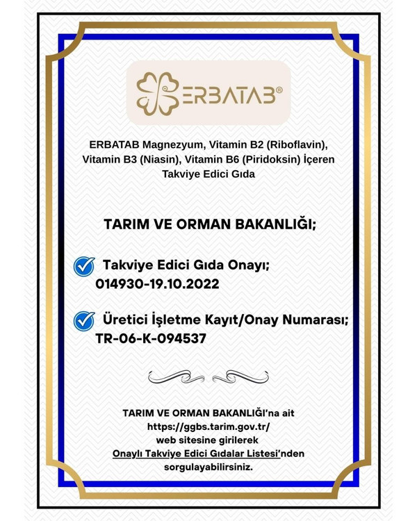 منیزیم ۳گانه با ویتامینهای B2، B3 و B6 ارباتاب | Erbatab ـ 60 عددی