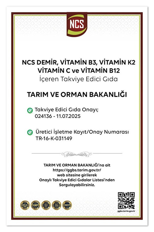 مکمل آهن گلیسنات NCS | کمپلکس حاوی ویتامین C , D3, K2 فولیک اسید ،B12 , B6 ، مس و کروم - 60 عددی