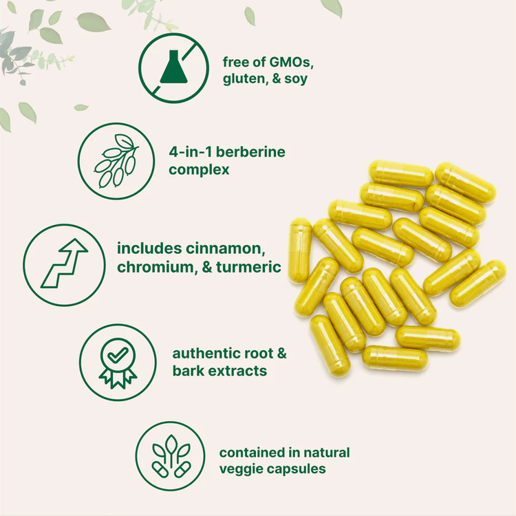 Micro Ingredients Berberine with Ceylon Cinnamon, Chromium, & Turmeric, 240 Vegetarian Capsules